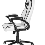 Gaming Fauteuil de bureau, chaise de course, tendance, chaise d'ordinateur (blanc/noir)