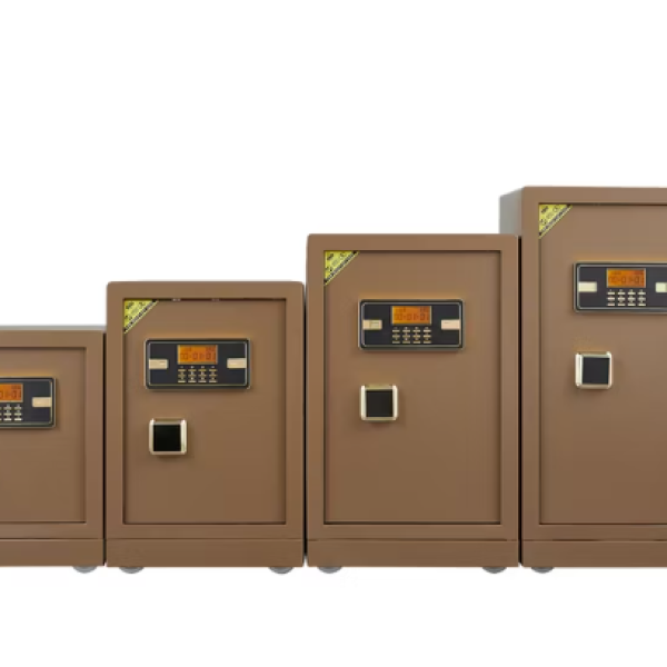 Coffre Fort Numerique