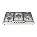 PLAQUE TECHNOLUX ENCASTRABLE 5FEUX 90X60 A GAZ INOX TEC5GG